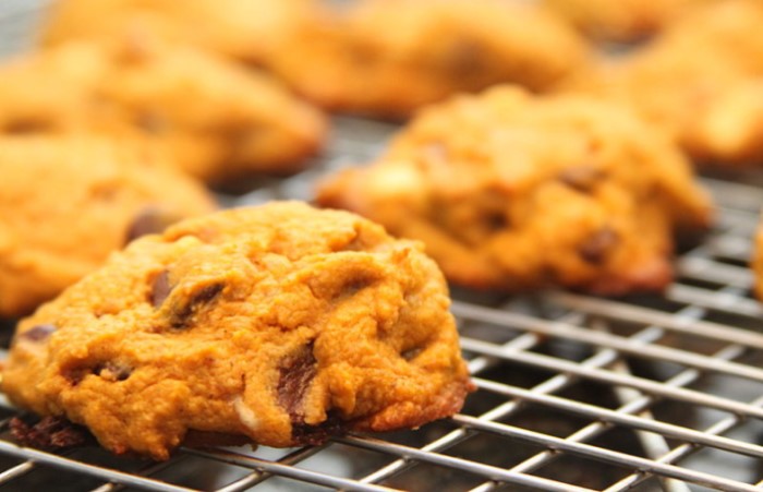 Pumpkin Chocolate Chip Cookies