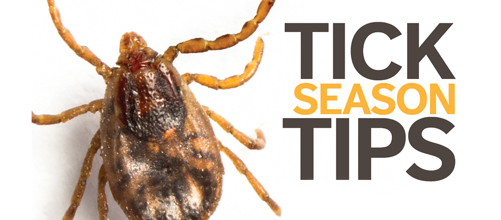 Ticks: Avoid Misery in Missouri