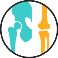 realistic hip and knee bones icon