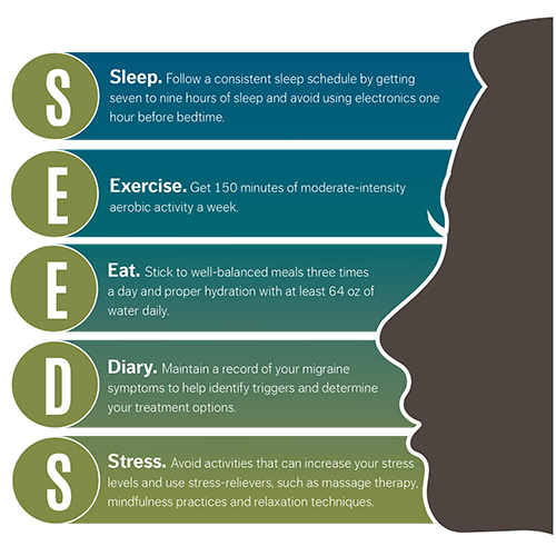 SEEDS chart