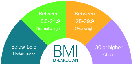 semi-circle chart showing the four different bmi ranges of underweight, normal weight, overweight and obese