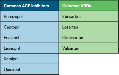 Common ACE inhibitors, ARBs