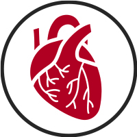 realistic heart icon