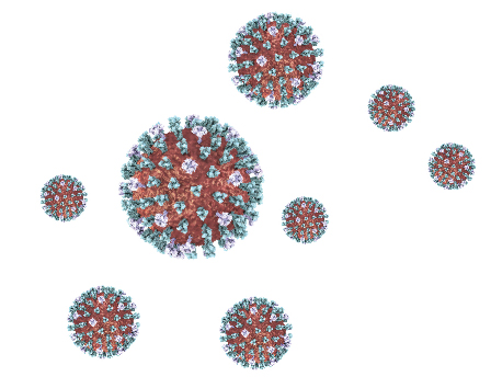 flu virus graphic