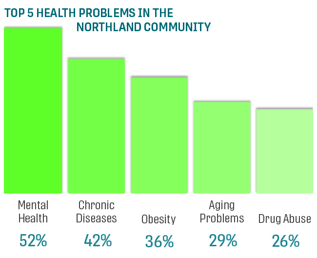 vertical bar chart of top five health problems in the northland per community survey