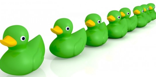 4 Healthy Reasons to Get Your Ducks in a Row