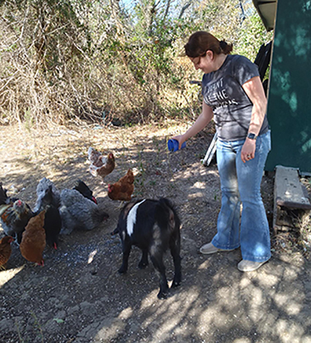 Michallia feeding chickens