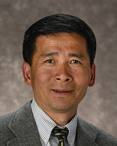 Fen Wang, M.D.