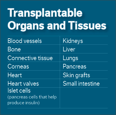 Transplantable Organs and Tissue