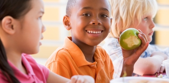 Back to School Lunches