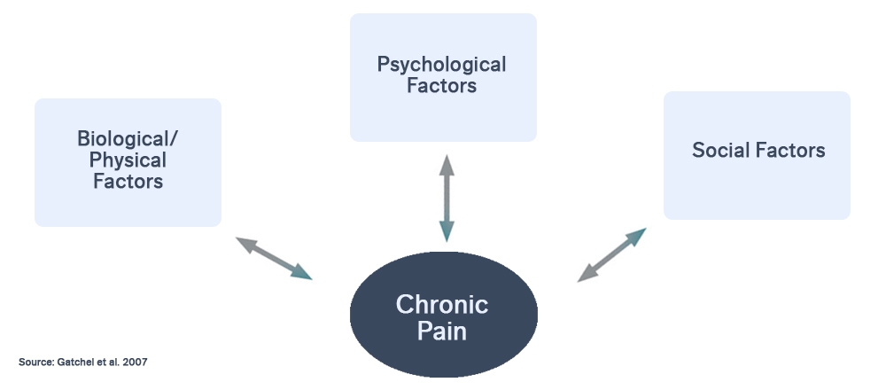 Chronic Pain What Is It What Causes It