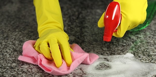 Kitchen vs. Bathroom: The Germ Wars