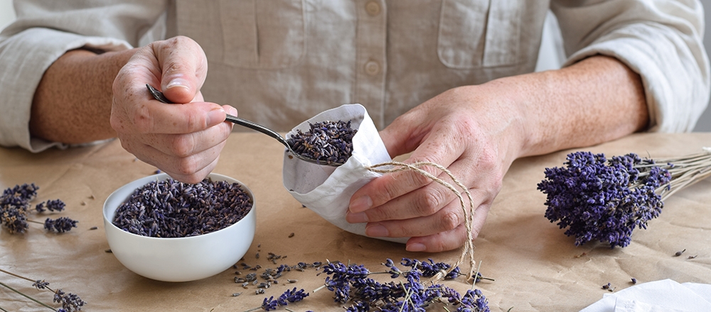 Lavender Essentials